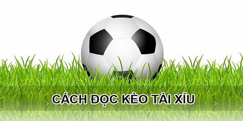 Tip chơi kèo tài xỉu hốt bạc từ cao thủ gạo cội